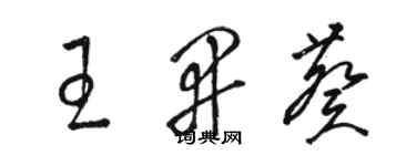 骆恒光王开葵草书个性签名怎么写