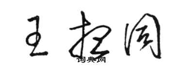 骆恒光王想同草书个性签名怎么写