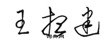 骆恒光王想建草书个性签名怎么写