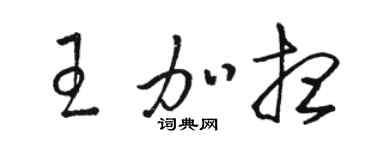 骆恒光王加想草书个性签名怎么写