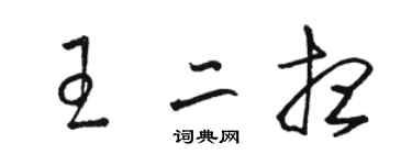 骆恒光王二想草书个性签名怎么写