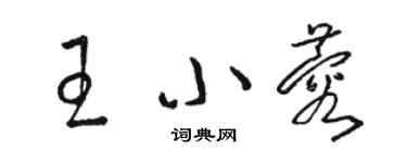 骆恒光王小蓉草书个性签名怎么写