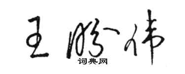 骆恒光王盼伟草书个性签名怎么写