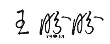 骆恒光王盼盼草书个性签名怎么写