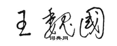 骆恒光王魏国草书个性签名怎么写