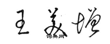 骆恒光王美增草书个性签名怎么写