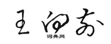 骆恒光王向前草书个性签名怎么写