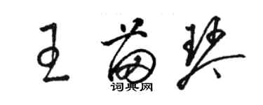 骆恒光王苗琴草书个性签名怎么写