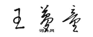 骆恒光王梦童草书个性签名怎么写
