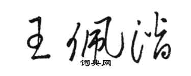 骆恒光王佩潜草书个性签名怎么写
