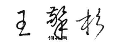 骆恒光王擎杉草书个性签名怎么写