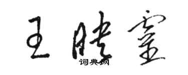 骆恒光王映灵草书个性签名怎么写