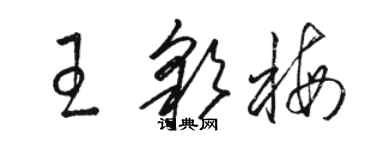 骆恒光王彩梅草书个性签名怎么写