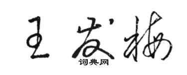 骆恒光王发梅草书个性签名怎么写