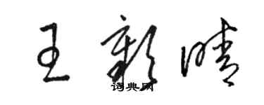 骆恒光王彰晴草书个性签名怎么写