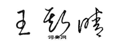 骆恒光王斯晴草书个性签名怎么写