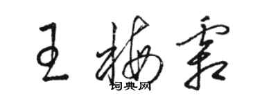 骆恒光王梅霜草书个性签名怎么写