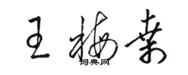 骆恒光王梅桑草书个性签名怎么写