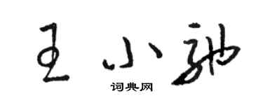骆恒光王小弛草书个性签名怎么写