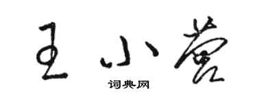 骆恒光王小营草书个性签名怎么写
