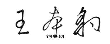 骆恒光王本豹草书个性签名怎么写