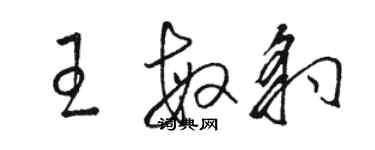 骆恒光王敏豹草书个性签名怎么写