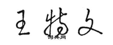 骆恒光王特文草书个性签名怎么写