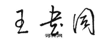 骆恒光王书同草书个性签名怎么写