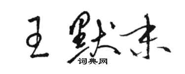 骆恒光王默末草书个性签名怎么写
