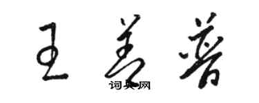 骆恒光王善普草书个性签名怎么写