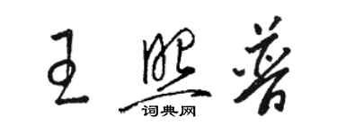 骆恒光王照普草书个性签名怎么写