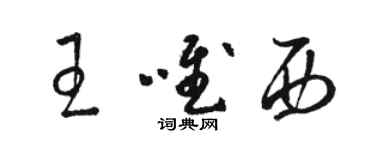骆恒光王唯西草书个性签名怎么写