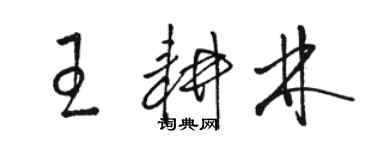 骆恒光王耕林草书个性签名怎么写