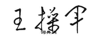 骆恒光王操军草书个性签名怎么写