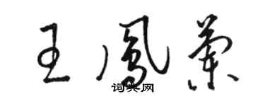 骆恒光王凤兰草书个性签名怎么写