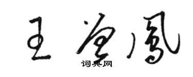 骆恒光王曾凤草书个性签名怎么写