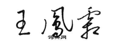 骆恒光王凤霜草书个性签名怎么写