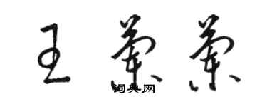 骆恒光王兰兰草书个性签名怎么写
