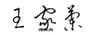 骆恒光王家兰草书个性签名怎么写