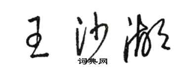 骆恒光王沙湖草书个性签名怎么写