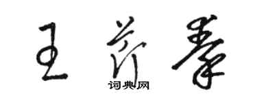 骆恒光王芹秦草书个性签名怎么写