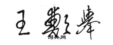 骆恒光王郑举草书个性签名怎么写