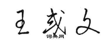 骆恒光王或文草书个性签名怎么写