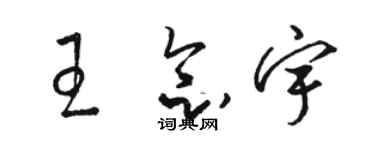骆恒光王念宇草书个性签名怎么写