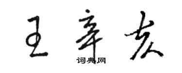 骆恒光王辛亥草书个性签名怎么写