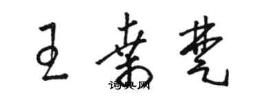 骆恒光王桑楚草书个性签名怎么写