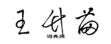 骆恒光王竹苗草书个性签名怎么写