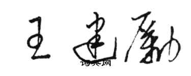 骆恒光王建励草书个性签名怎么写