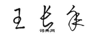 骆恒光王长年草书个性签名怎么写