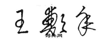 骆恒光王郑年草书个性签名怎么写